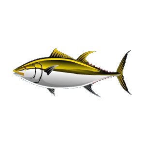 Golden Tuna